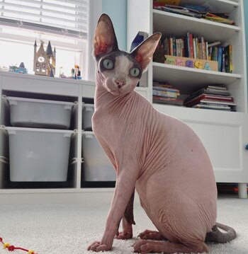 Ahora ya nada queda de