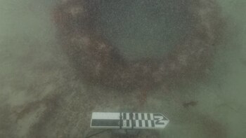 Nuevas tecnologías siguen sacando a