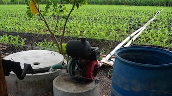 La rehabilitación de sistemas de riego permitirá definir obras prioritarias y garantizar una distribución más eficiente del agua entre productores agrícolas..
