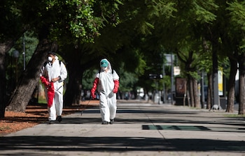 Ante los casos de dengue,