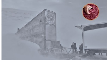 Guatemala realiza su primer depósito