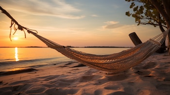 La adopción de la hamaca