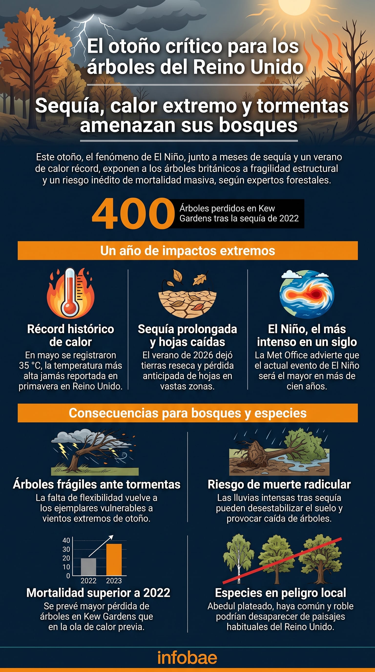 Una infografía detalla las causas climáticas y las consecuencias de la sequía en la mortalidad de los árboles del Reino Unido (Imagen Ilustrativa Infobae)
