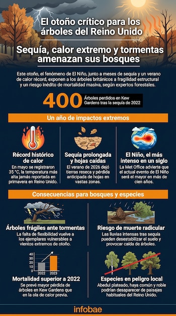 Infografía sobre la sequía y tormentas en el Reino Unido con iconos de datos de temperatura, árboles caídos y gráficos.