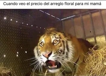 Usuarios llenaron las redes sociales