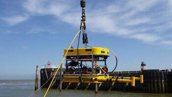 Un proyecto piloto utiliza robots