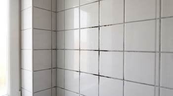 Azulejos de cerámica blancos en la pared de un baño con moho negro en las juntas y un marco de ventana en el lado izquierdo.