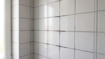 Cómo quitar el moho negro de los azulejos del baño: remedios caseros efectivos