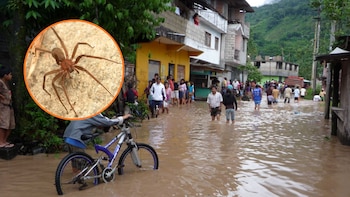 Zonas en alerta roja por