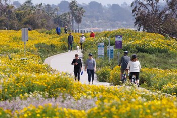 La última superfloración en California
