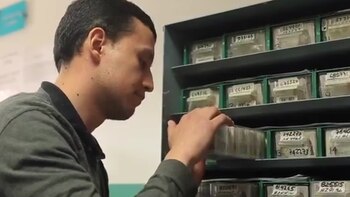 Investigan más de 100 cédulas