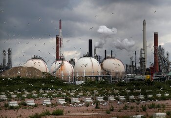 Este término ya es utilizado