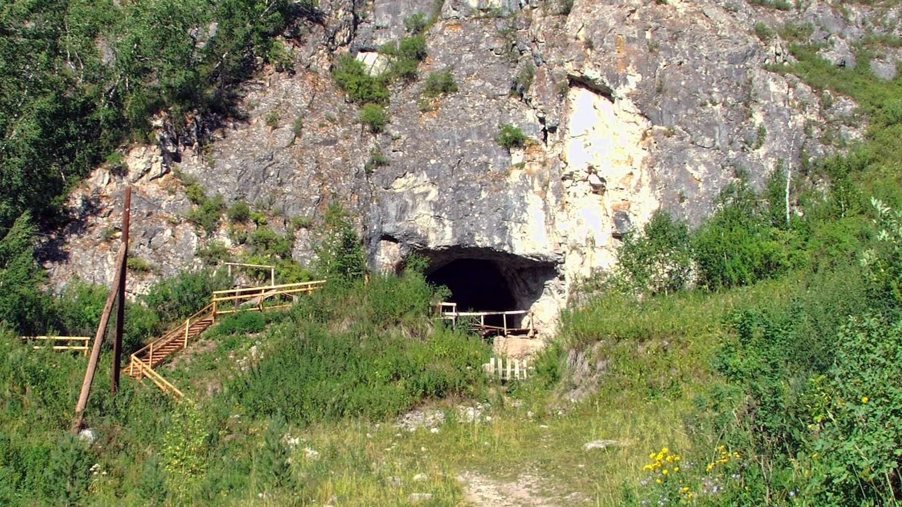 Descubren en una cueva remota de Siberia una especie nunca vista hasta la fecha