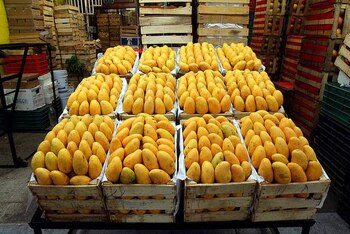 Actualmente en México se producen