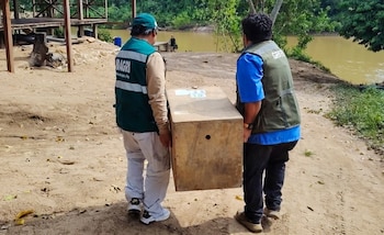 Dos hombres con chalecos oficiales cargan una gran caja de madera sobre un camino de tierra junto a un río y vegetación
