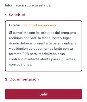 (Captura de pantalla/Mujeres con Bienestar)