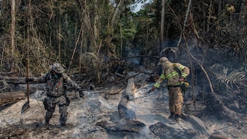 Los bomberos del Ibama, la