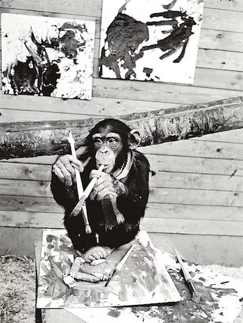 A mediados del siglo pasado