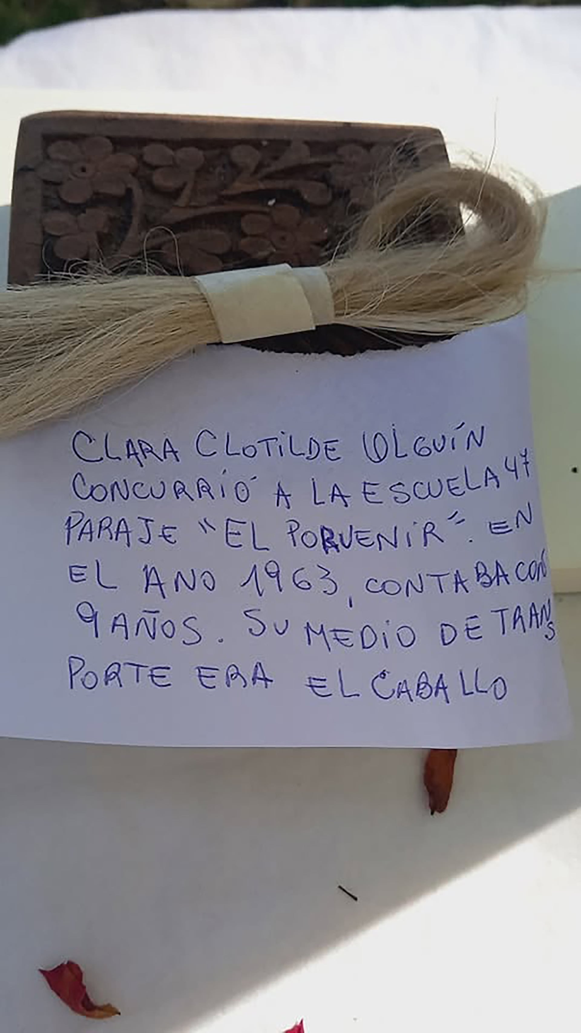 El mechón de la crin del caballo que llevaba a Clara Clotilde Olguín a la escuela (Fuente)