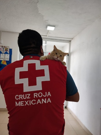 Pronto, los trabajadores del edificio