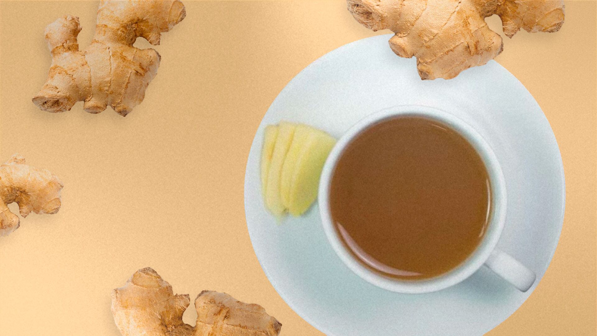 El gen CsKNOX6, ubicado en el cromosoma 10, limita el crecimiento de los brotes y puede ser clave para la mejora genética del té./Archivo Jovani Pérez)