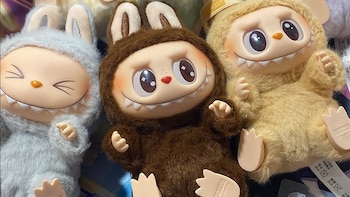 La existencia de una gran cantidad de trabajadores dispuestos a aceptar remuneraciones inferiores a las de los países avanzados ha sido un factor clave.