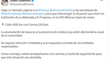 Concejal de Bogotá pidió intervención urgente por acumulación de basuras y ratones en dos sectores de Usme