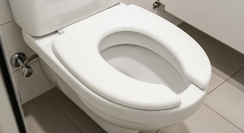 Primer plano de un inodoro blanco con asiento de apertura frontal en un baño público. Se observa una válvula de agua metálica en la pared lateral izquierda.