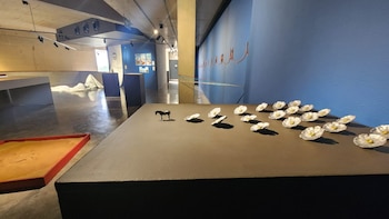 Bienalsur cerró su décimo aniversario