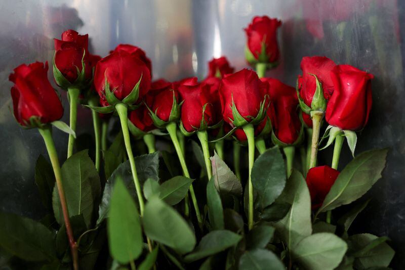 El dinamismo de la temporada también impacta el empleo. Durante estas semanas, el sector requiere un aumento cercano al 24 % en personal en las principales zonas de producción | REUTERS/Luisa González