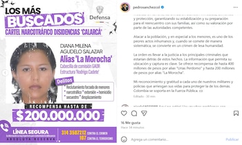 crédito @pedrosanchezcol/IG