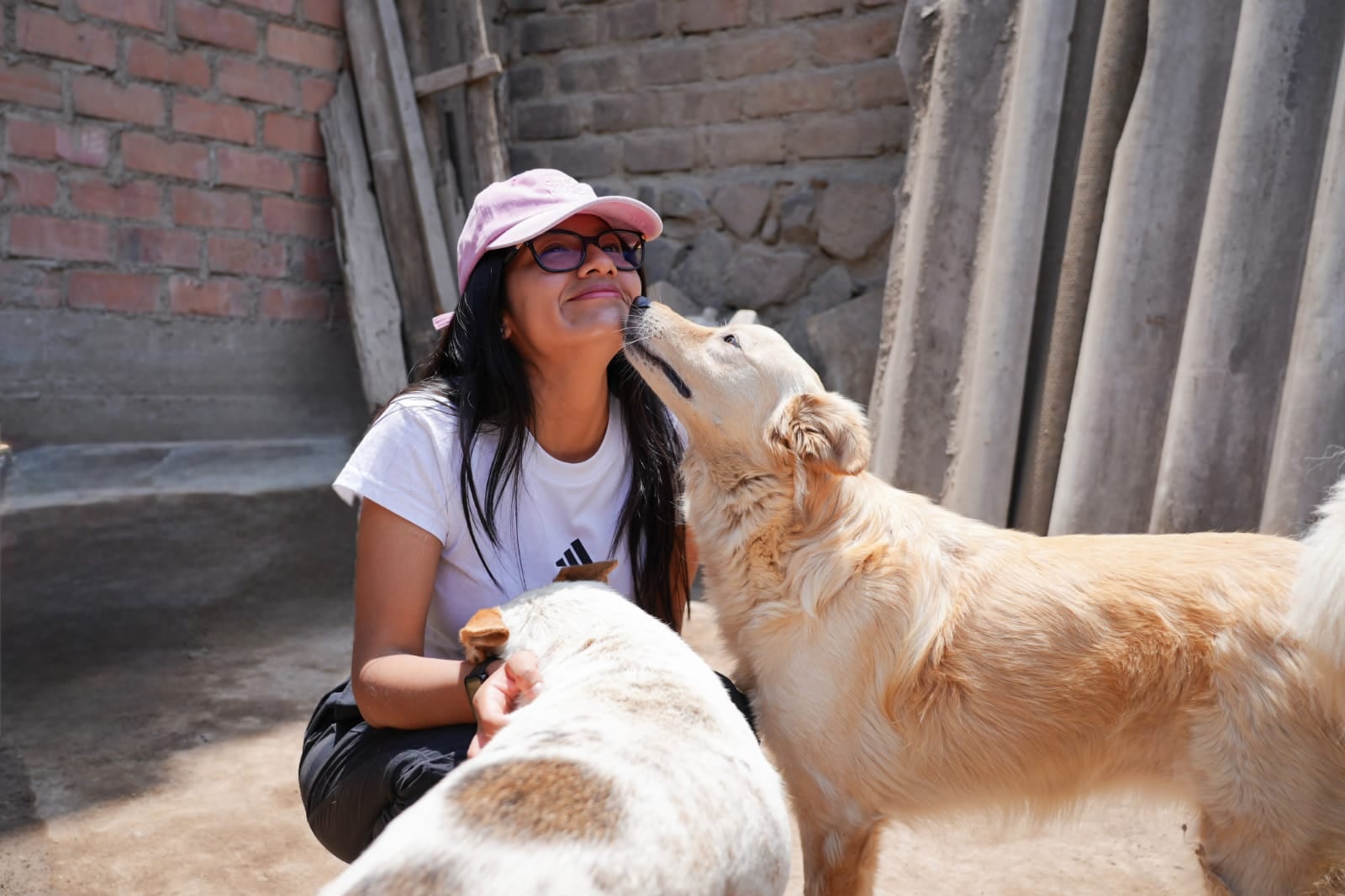 La propuesta plantea prevenir el abandono y el maltrato desde las aulas. Los estudiantes aprenderían sobre tenencia responsable, alimentación, higiene, atención veterinaria y prevención de actos de crueldad contra los animales
