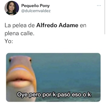 Foto: Captura de pantalla de