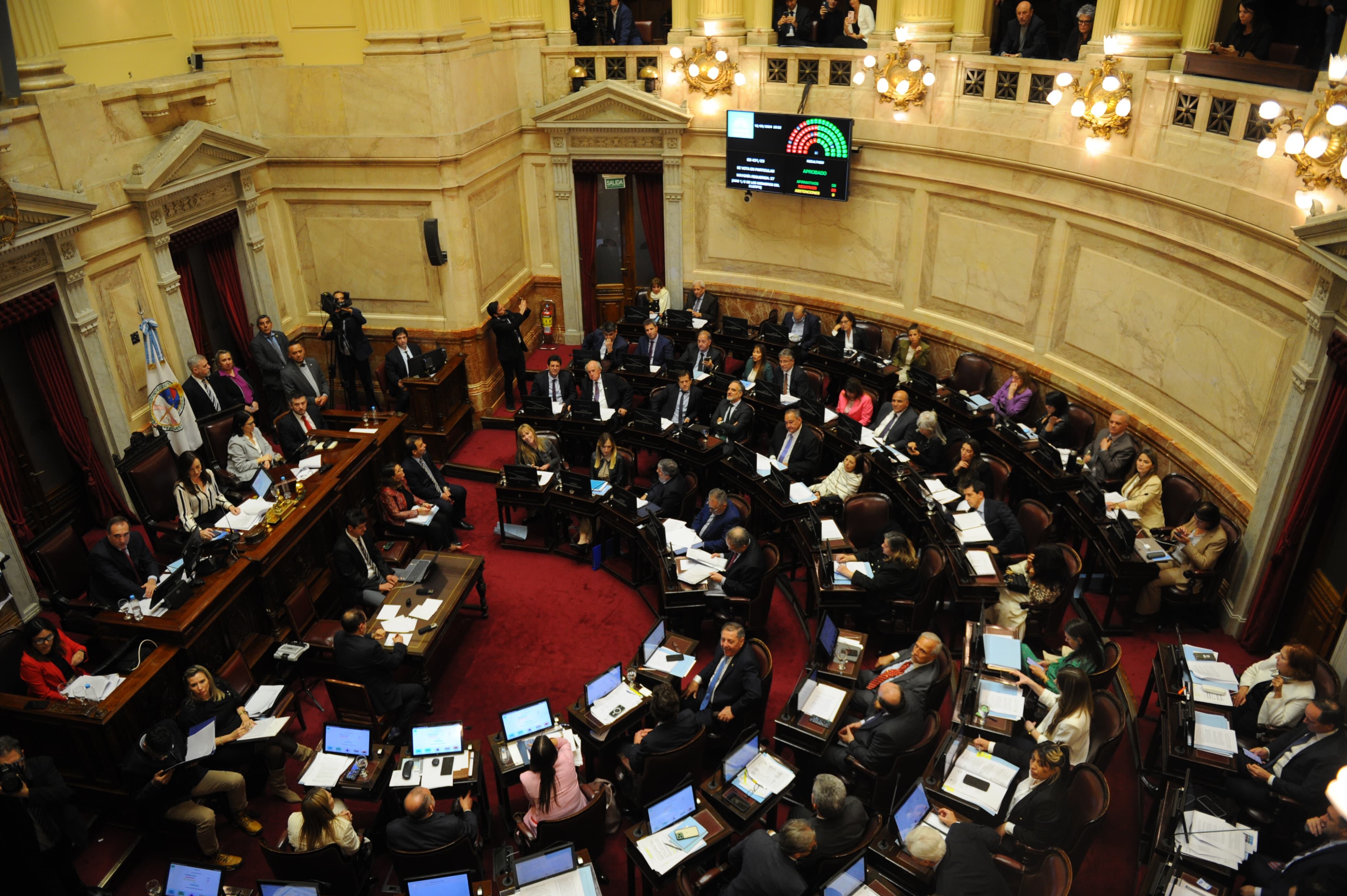 El pleno del Senado durante una sesión realizada el año pasado (Sebastián Alonso)