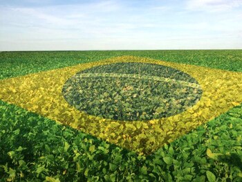 Oficialmente Brasil espera unos 166