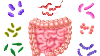 El microbioma del intestino podría determinar qué tan graves son las alergias alimentarias