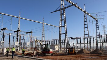 Expertos ya se encuentran buscando