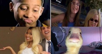 Los biólogos no dejaron a