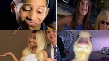 Día del biólogo: los mejores