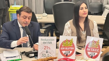 Diputados misioneros impulsan una rebaja del IVA a la harina de mandioca