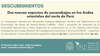 Descripción del Museo de Historia Natural de la Universidad Nacional Mayor de San Marcos (UNMSM).