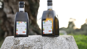 Un nuevo aceite de oliva consigue la Denominación de Origen Protegida: un multivarietal producido en el Valle del Tiétar, Ávila