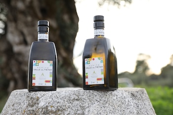 La Unión Europea registra la nueva Denominación de Origen Protegida aceite Valle del Tiétar (Ministerio de Agricultura)