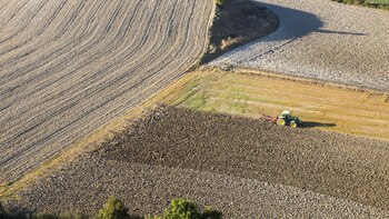 El sector primario aguarda con