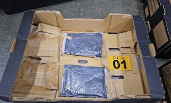 Uno de los cargamentos contenía 30 kilos de cocaína escondidos entre cajas de cartón que transportaban piñas con destino a Alemania. Crédito: MSP