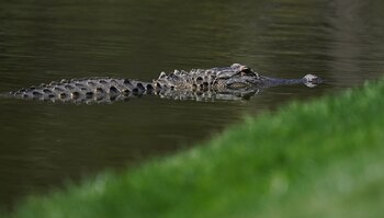 Más de un millón de