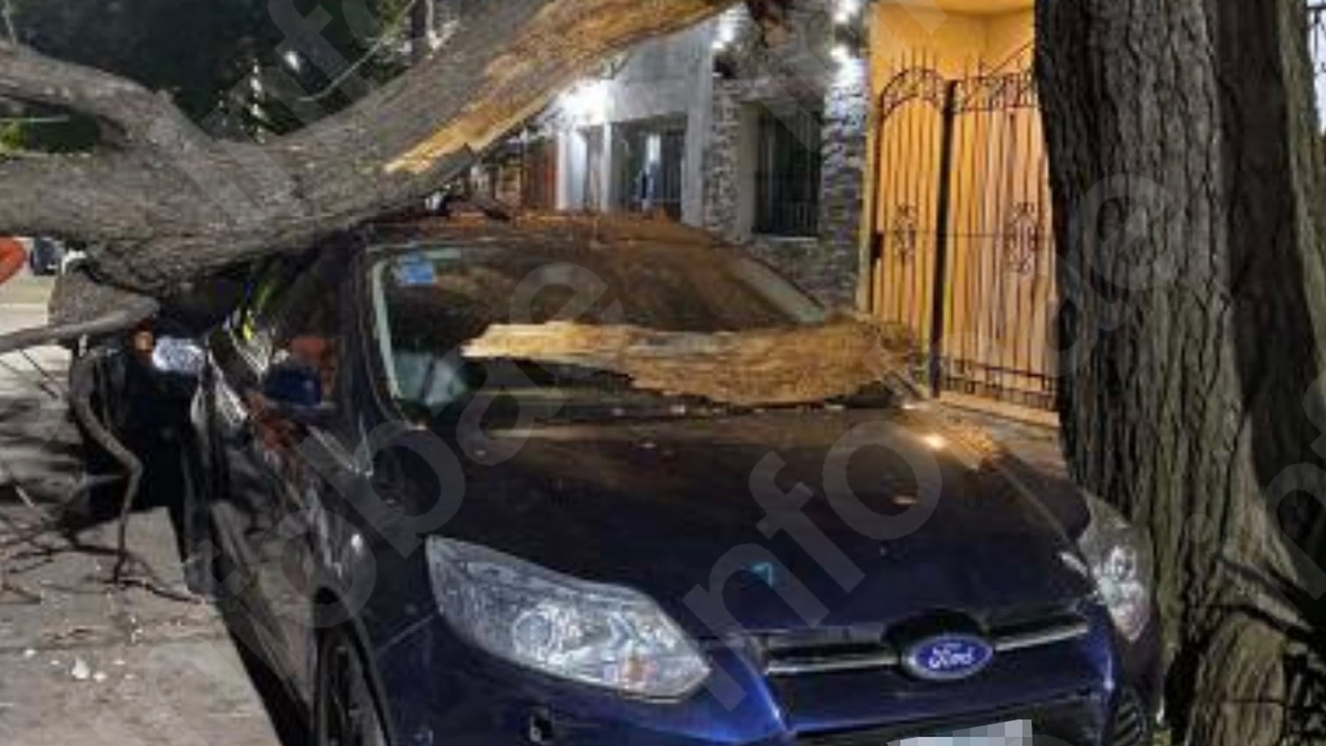 La Cámara de Apelaciones confirmó la responsabilidad del municipio por los daños causados a un vehículo tras la caída de una rama. Imagen del informe pericial (Poder Judicial)