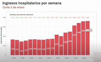 (Foto: captura de pantalla videoconferencia