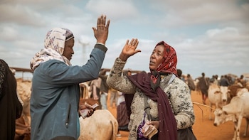 El hambre aumenta tras 20 años de avances y afecta de forma grave o alarmante a 44 países, según el Global Hunger Index