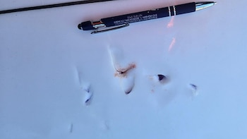 Imágenes difundidas por el Departamento